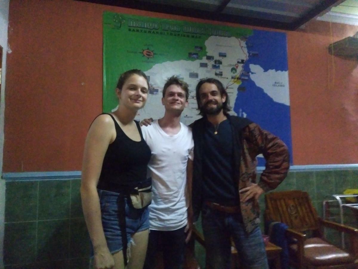Mango Tree Homestay & Ijen Tour Banyuwangi  Ngoại thất bức ảnh